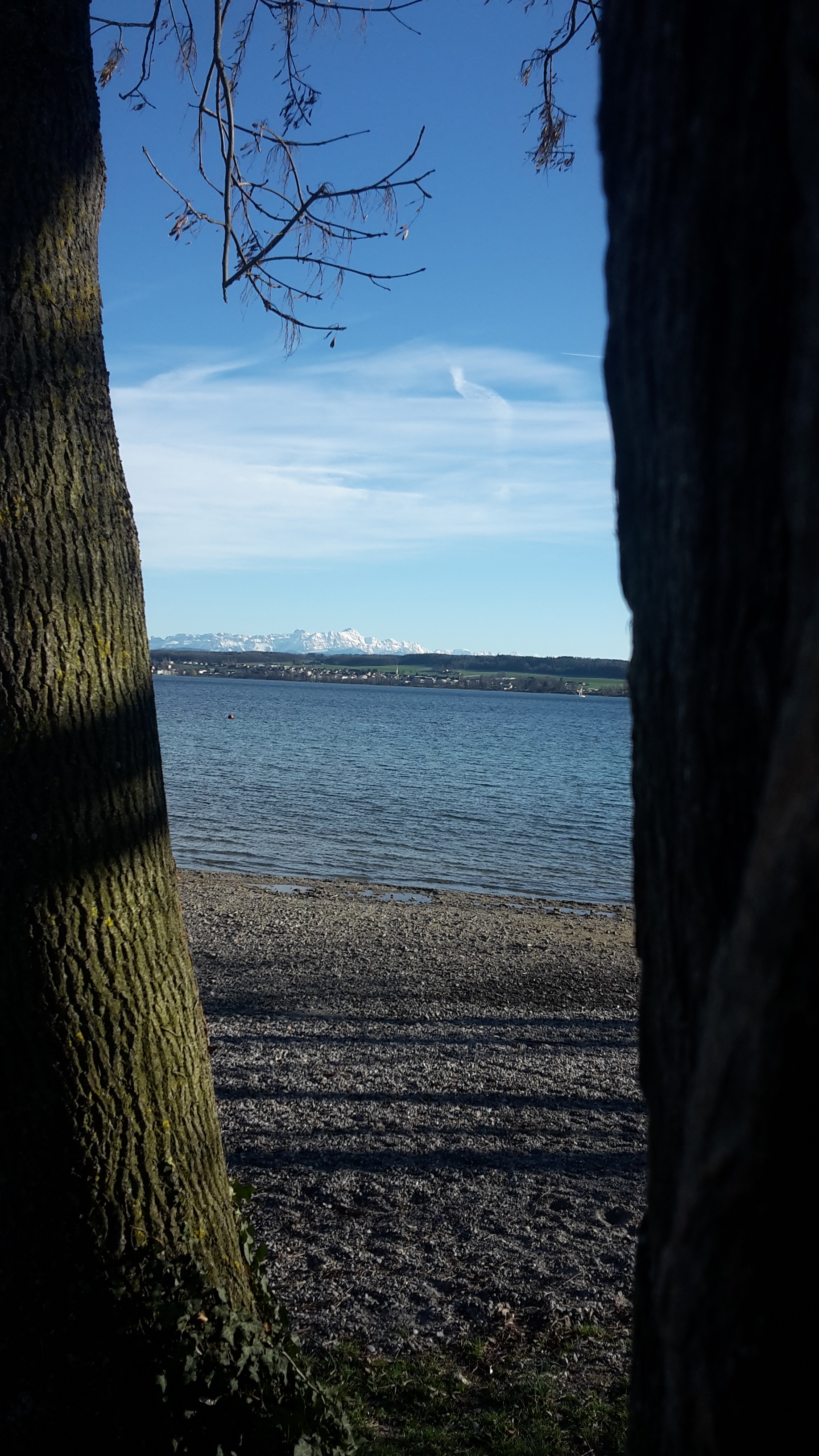 16.3.2019 Konstanz