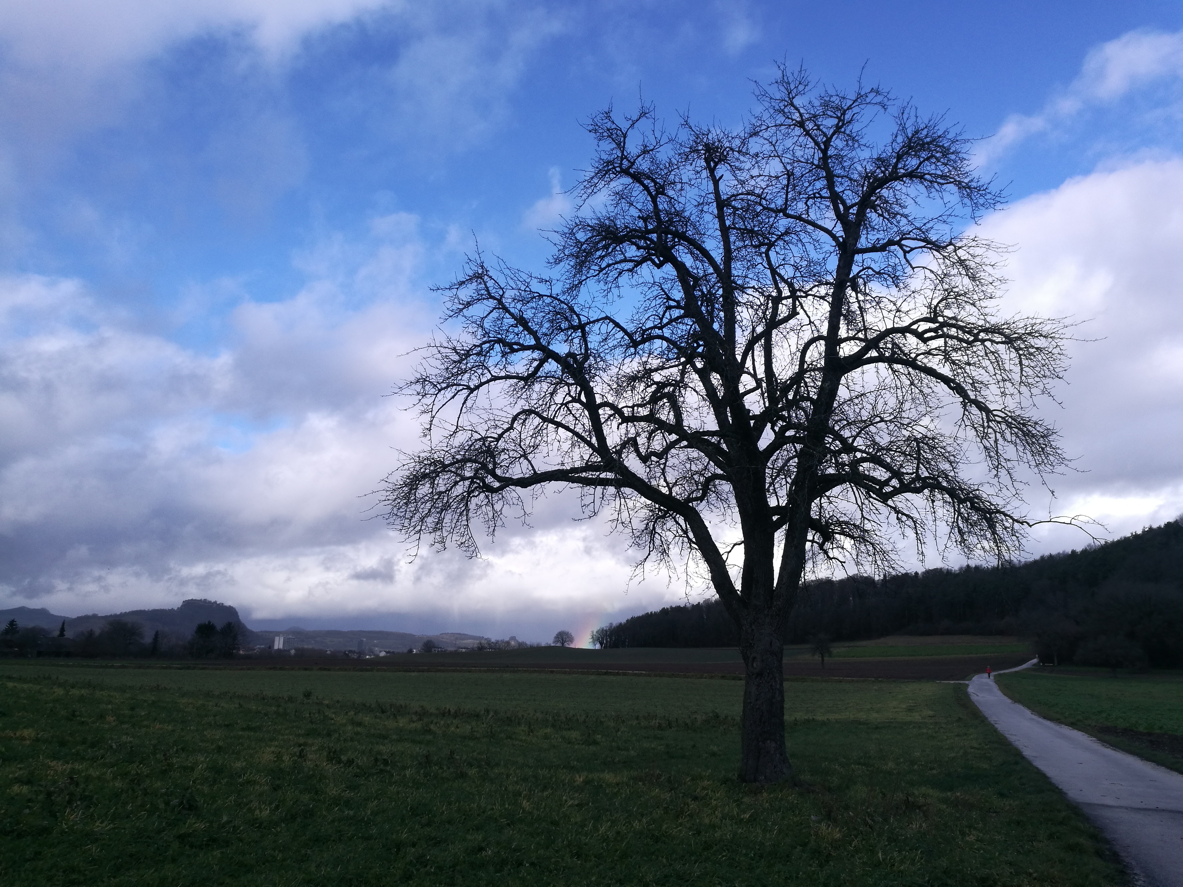 25.12.2019 Ende vom Regenbogen