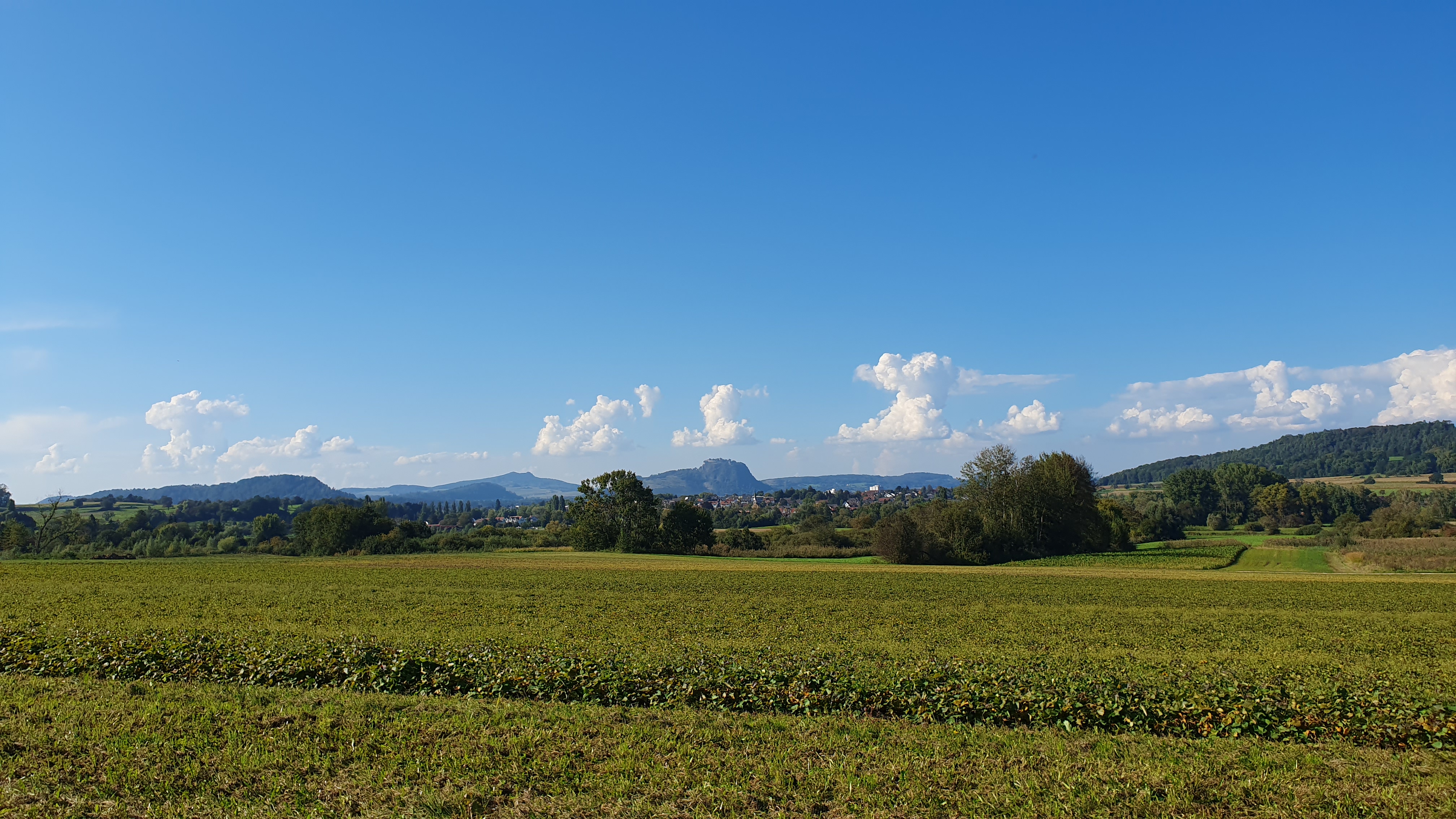 21.9.2024 Hegau